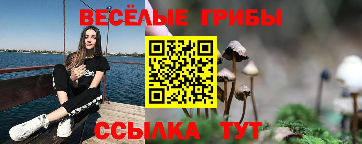 Апрелевка  Галлюциногенные грибы Psilocybe  Вход с VPN 